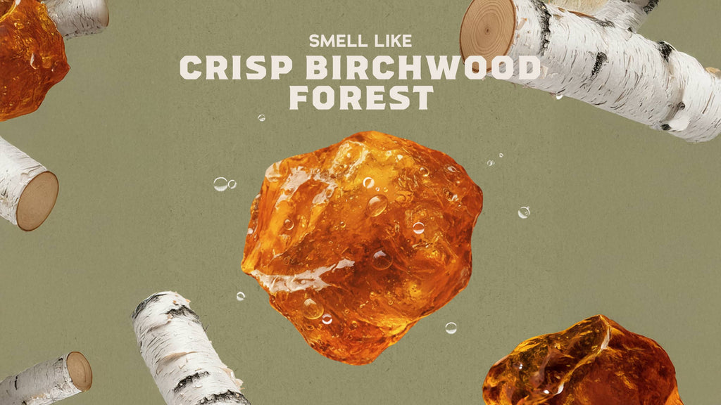Scent inspiration imagery used on Dr. Squatch product pages